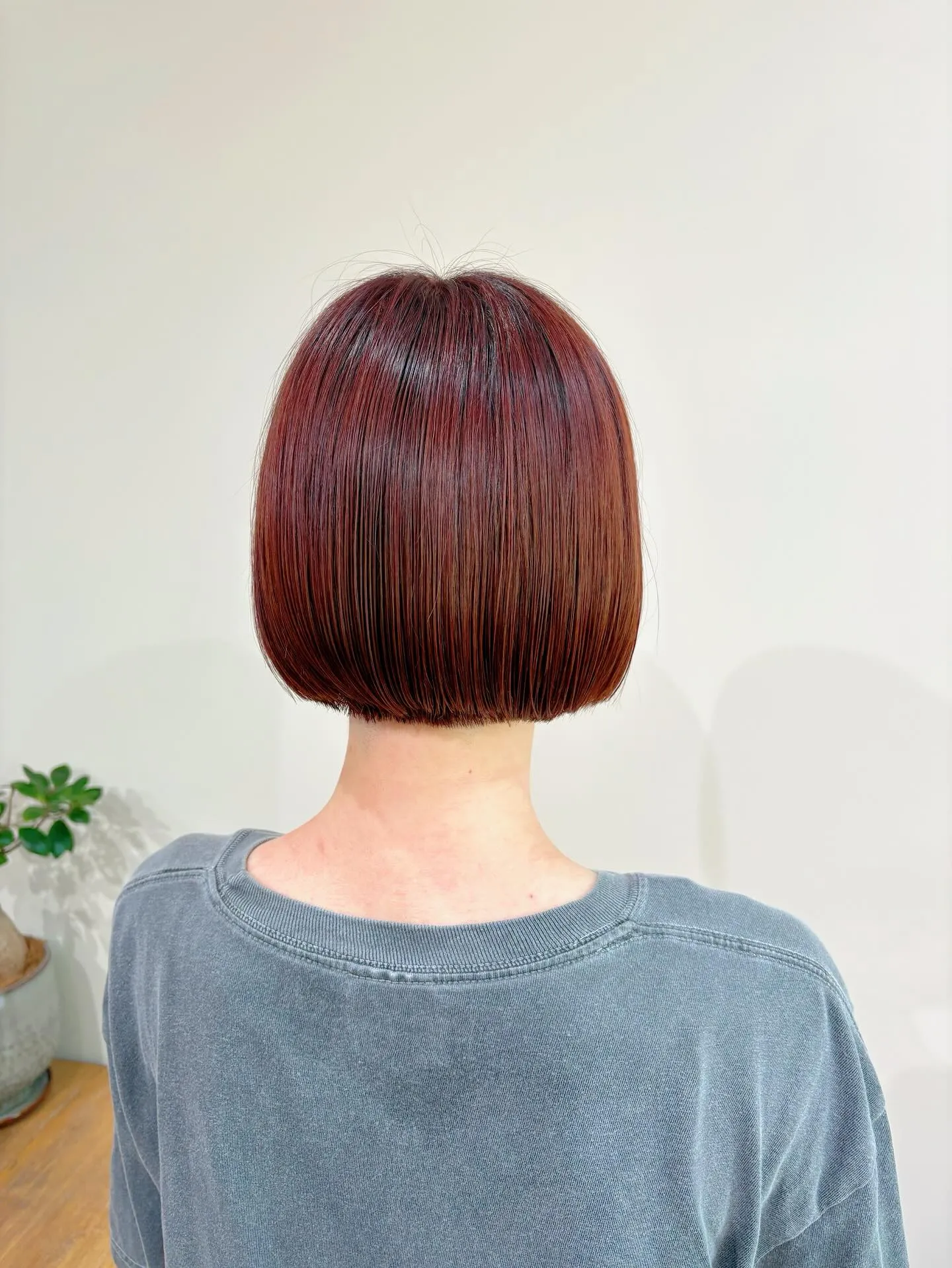 orange✖️mini bob
